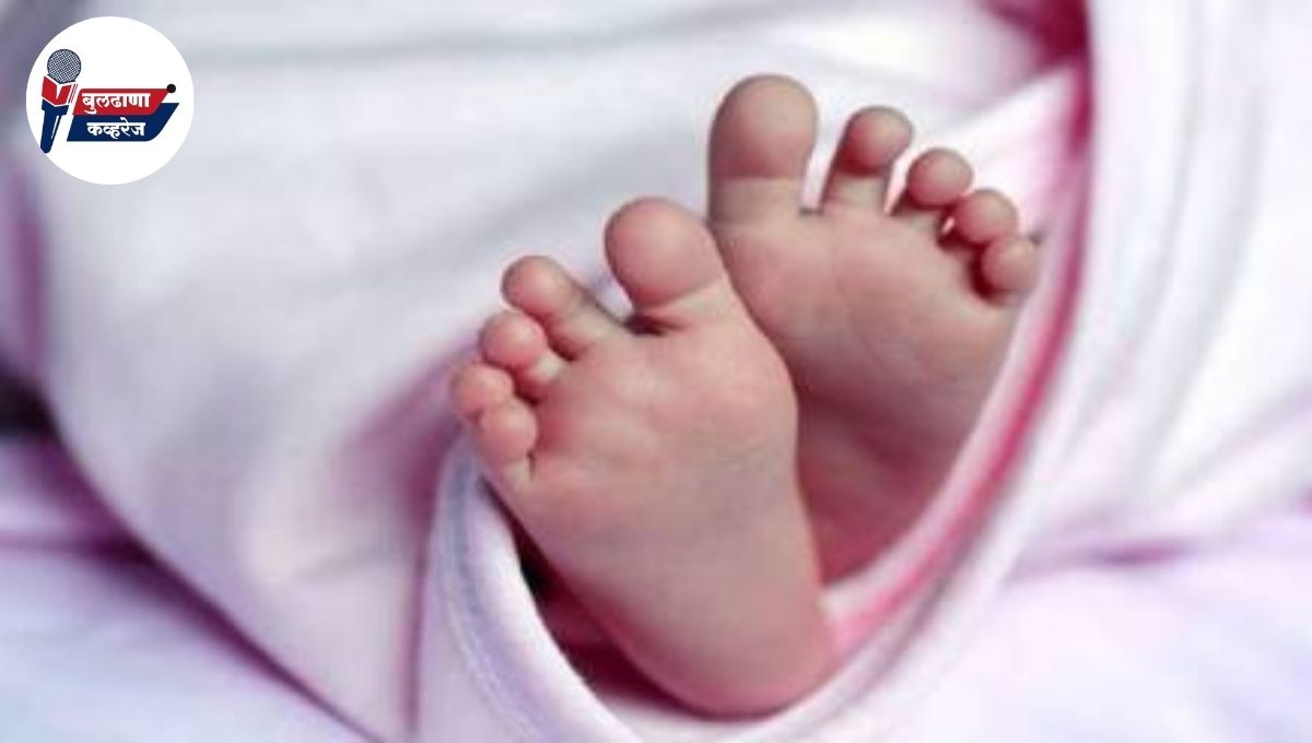 करवंड आरोग्य उपकेंद्रात सापडलेला गोळा होता मानवी अर्भक; पोलिस तपासात स्त्री भ्रूणहत्येची शक्यता?