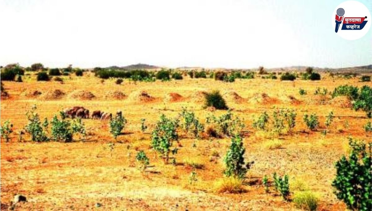 इ क्लास जमिनीबाबत प्रशासनाकडून कायद्यानुसार कडक कारवाई होणार...