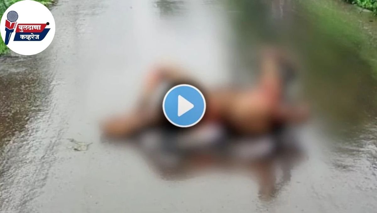 डॉक्टरने स्वतःला भर रस्त्यात पेटवून घेतले, प्रकृती गंभीर; नांदुरा-जळगाव जामोद रस्त्यावरील घटना