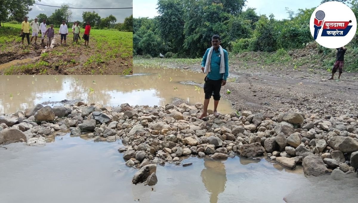 अतिवृष्टीमुळे शेती पाण्यात; लोणार व शेगाव तालुक्यात २६ हजार हेक्टरवरील पिकांचे नुकसान